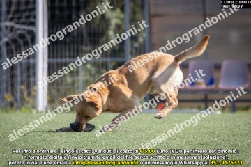 IMG_9827.jpg