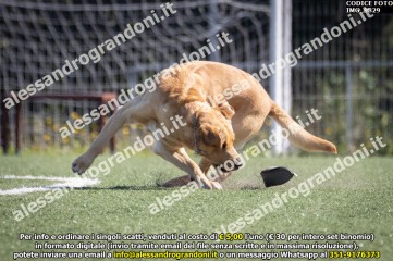 IMG_9829.jpg