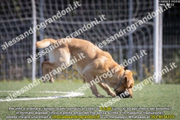 IMG_9832.jpg