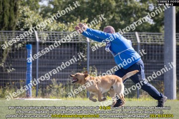 IMG_9842.jpg