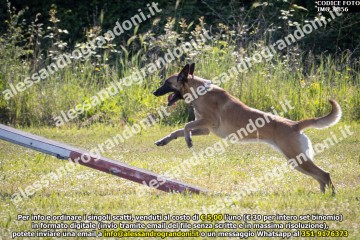 IMG_9856.jpg