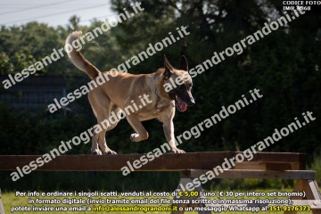 IMG_9868.jpg