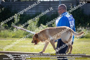 IMG_9878.jpg