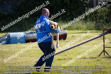 IMG_9889.jpg