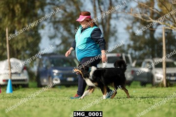 IMG_0001.jpg