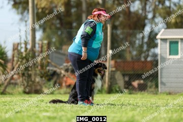 IMG_0012.jpg
