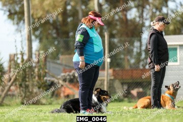 IMG_0046.jpg