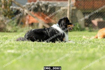 IMG_0061.jpg