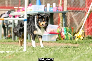 IMG_0078.jpg