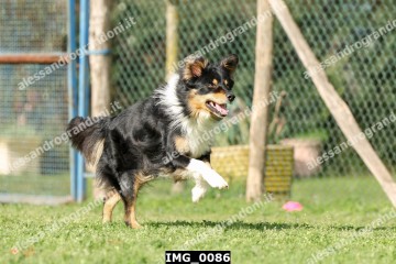 IMG_0086.jpg