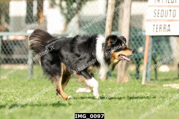 IMG_0097.jpg