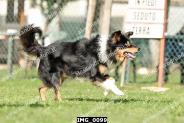 IMG_0099.jpg