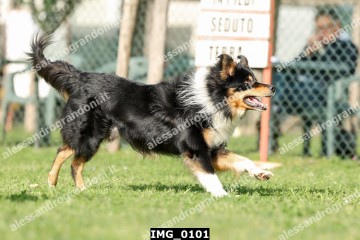 IMG_0101.jpg