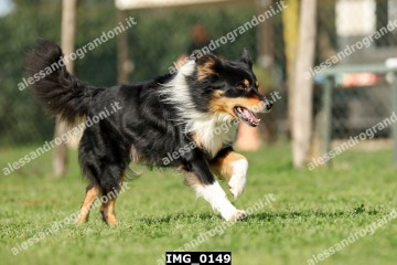 IMG_0149.jpg