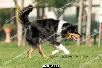 IMG_0152.jpg