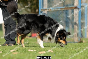 IMG_0163.jpg