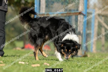 IMG_0167.jpg