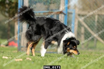 IMG_0171.jpg