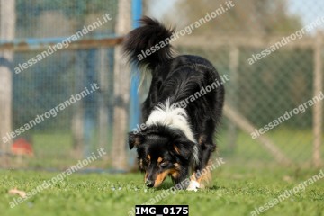 IMG_0175.jpg