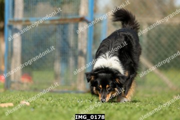 IMG_0178.jpg