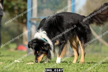 IMG_0187.jpg