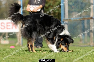 IMG_0221.jpg
