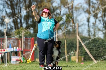 IMG_0247.jpg