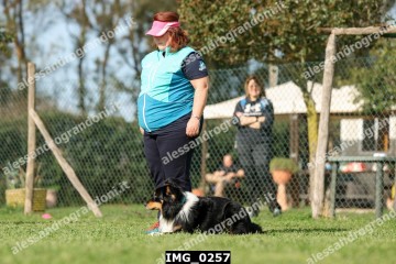 IMG_0257.jpg