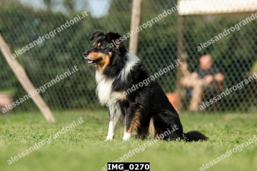 IMG_0270.jpg