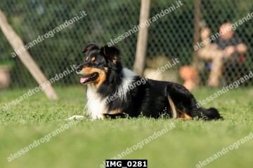 IMG_0281.jpg