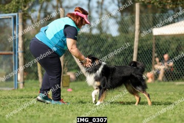 IMG_0307.jpg