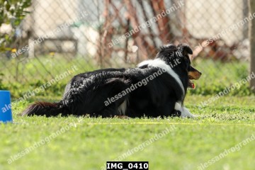 IMG_0410.jpg