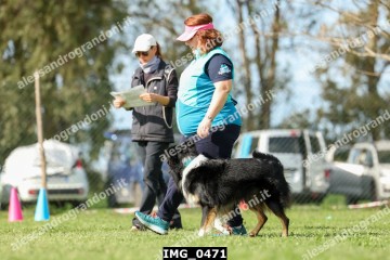 IMG_0471.jpg