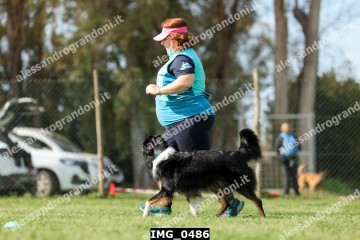 IMG_0486.jpg