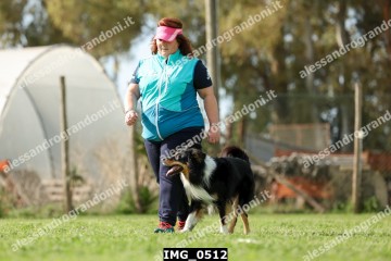 IMG_0512.jpg