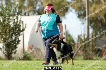 IMG_0520.jpg