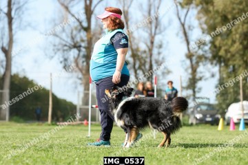 IMG_0537.jpg