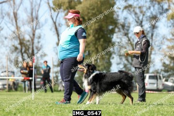IMG_0547.jpg