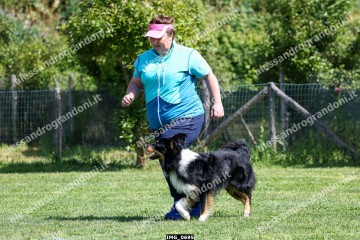 IMG_0695.jpg