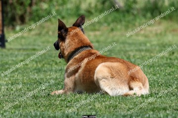IMG_1325.jpg