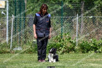 IMG_1554.jpg