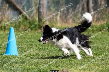 IMG_1673.jpg
