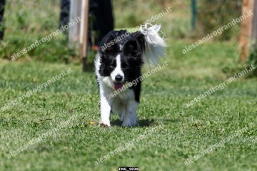 IMG_1839.jpg