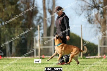 IMG_0023.jpg