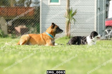 IMG_0063.jpg