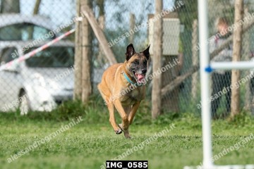 IMG_0585.jpg