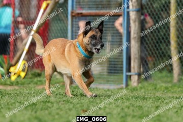 IMG_0606.jpg