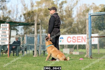 IMG_0643.jpg