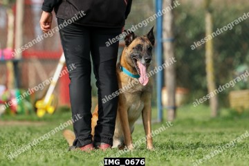 IMG_0676.jpg