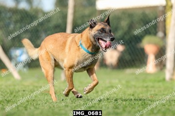 IMG_0681.jpg